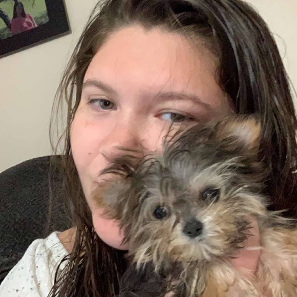 Meet your Posher, Cheyenne - Picture 4 of 4